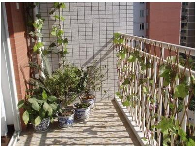 一樓的后花園   設(shè)計富有自然情調(diào)的籬笆